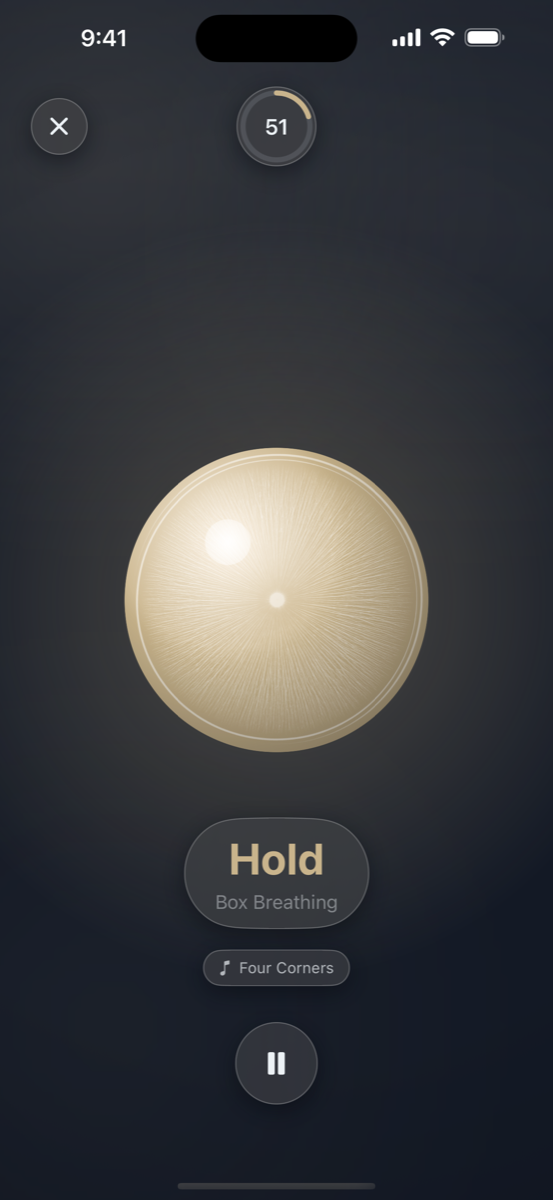 Easy Eyes breathing practice screen with a calm visual guide