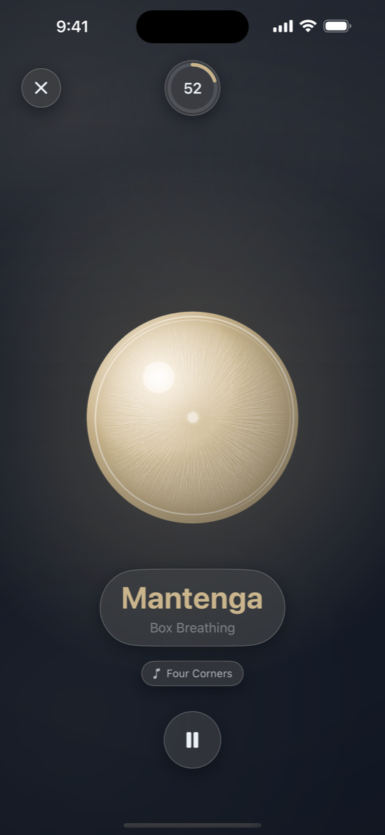 Pantalla de respiración de Easy Eyes con una guía visual tranquila
